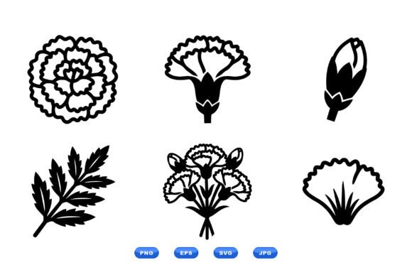 Carnation Floral Clipart Set: Graphics & Illustrations for Editorial Polish